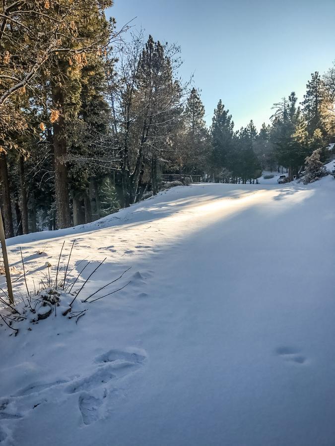 Tres Bien Ensemble Villa Big Bear Lake Bagian luar foto